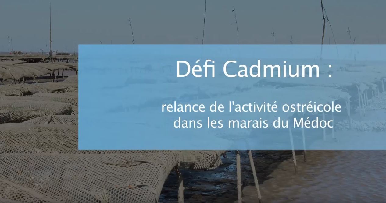 Afficher la vidéo Le cadmium dans le bassin Adour-Garonne