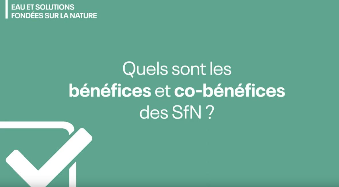 Solutions fondées sur la Nature : interview de Sylvie Jego de l'agence de l'eau Adour-Garonne