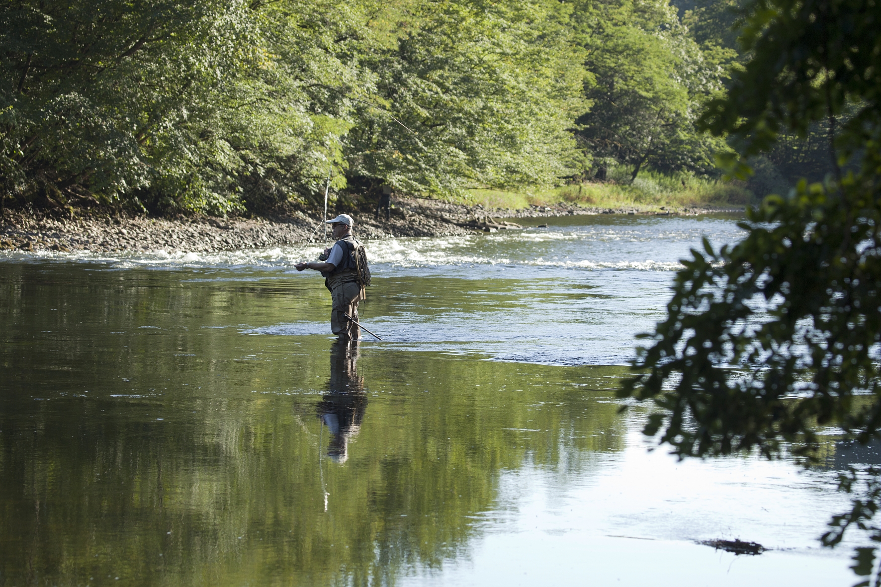 Pêche à la mouche sur la Dordogne entre Brivezac et Argentat en Corrèze